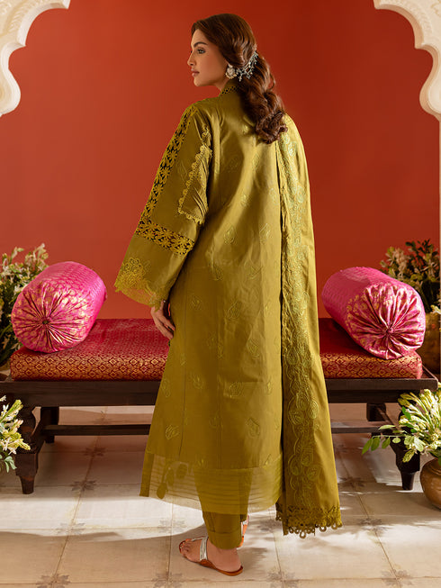 DSC-01 | 3 PC Lawn